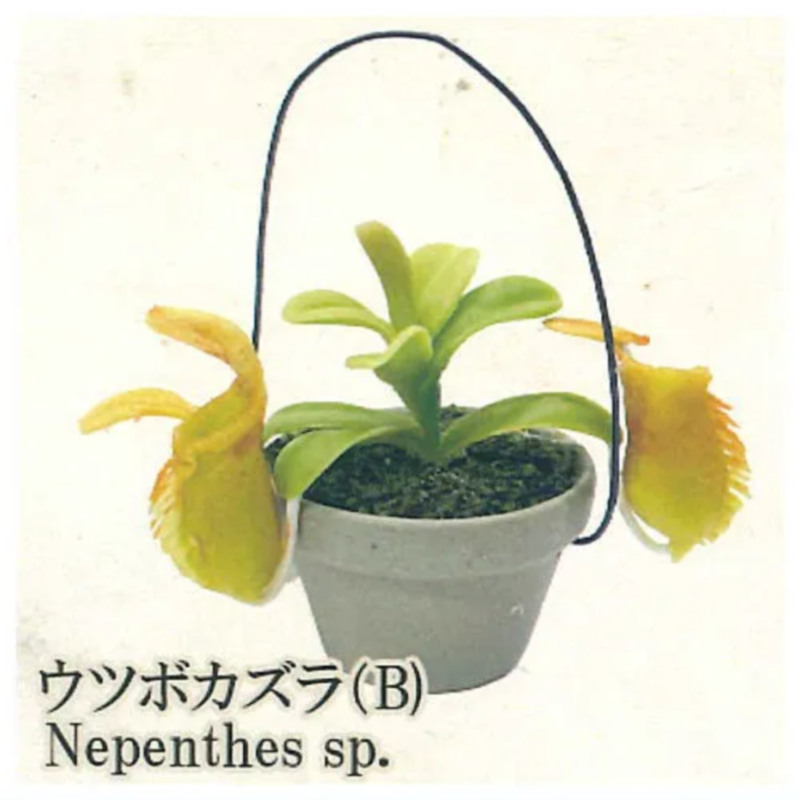 일본 레인보우 가샤폰 캡슐 장난감 음식 벌레 식물 화분 - Capsule Toy Gashapon 리뷰 및 가격